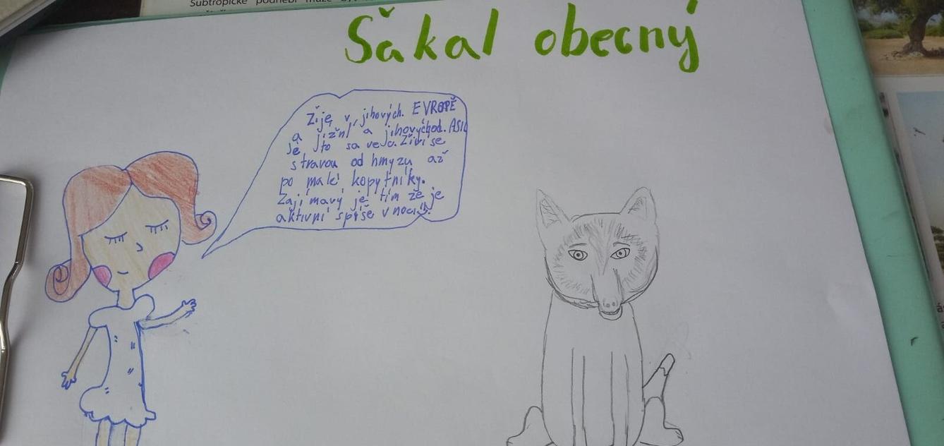 Škola doma v 5.B - 12
