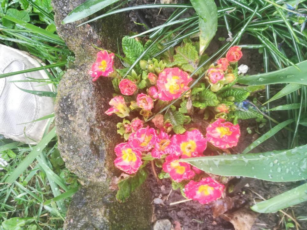 Distanční výuka ve třetí třídě 16. 4. - 14