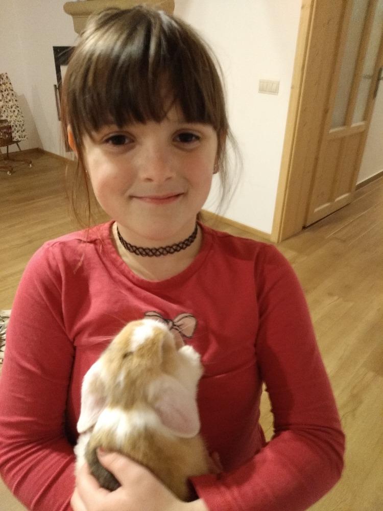 Distanční výuka ve třetí třídě 26. 2. - 22