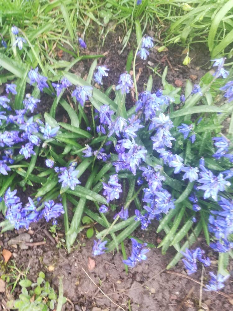 Distanční výuka ve třetí třídě 16. 4. - 15