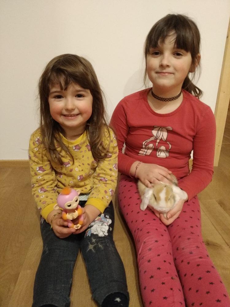 Distanční výuka ve třetí třídě 26. 2. - 23