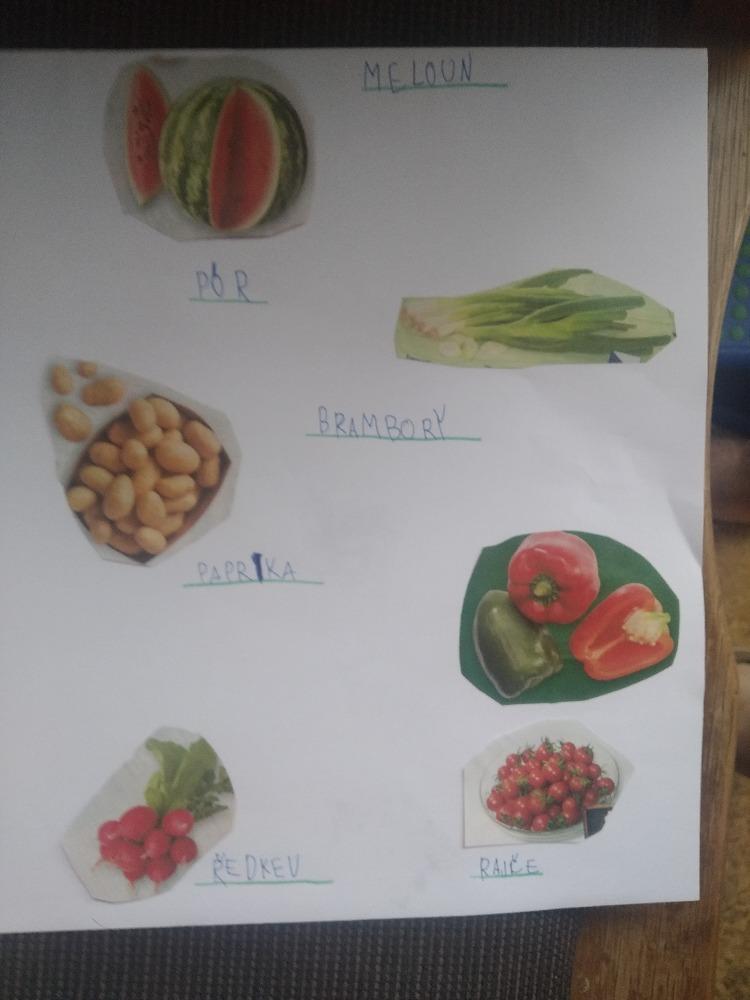 Výstupy druháčků z domácího učení 24. 5. - 17