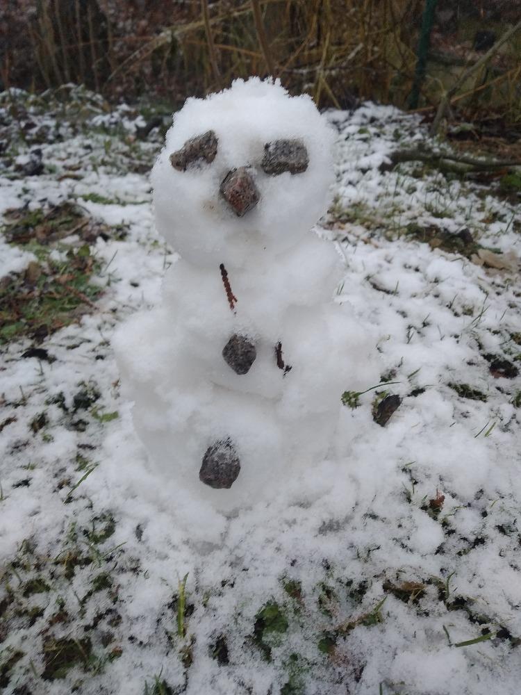 Distanční výuka ve třetí třídě 15. 1. - 10