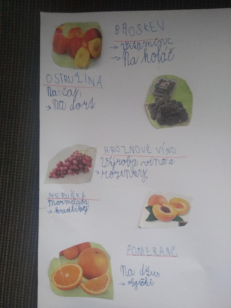 Výstupy druháčků z domácího učení 24. 5. - 21