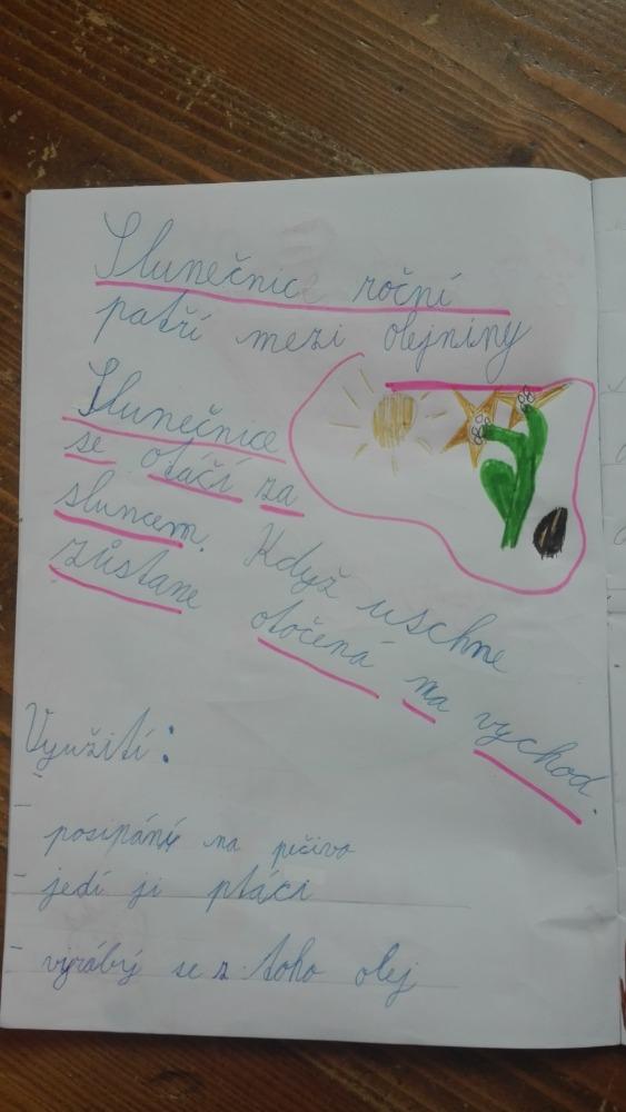 Distanční výuka ve třetí třídě 23. 10. - 24