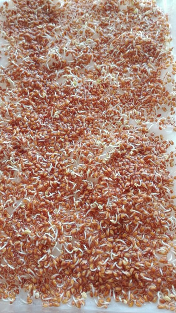 Výstupy druháčků z domácího učení 22. 4. - 10