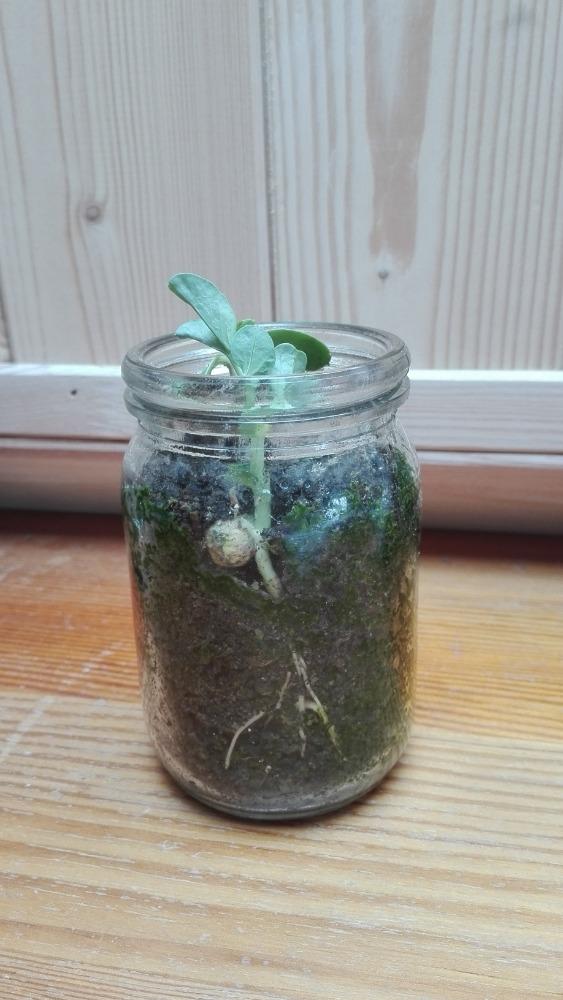 Výstupy druháčků z domácího učení 14. 4. - 16