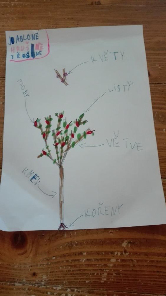 Výstupy druháčků z domácího učení 6. 4. - 12