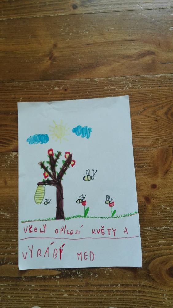 Výstupy druháčků z domácího učení 6. 4. - 13