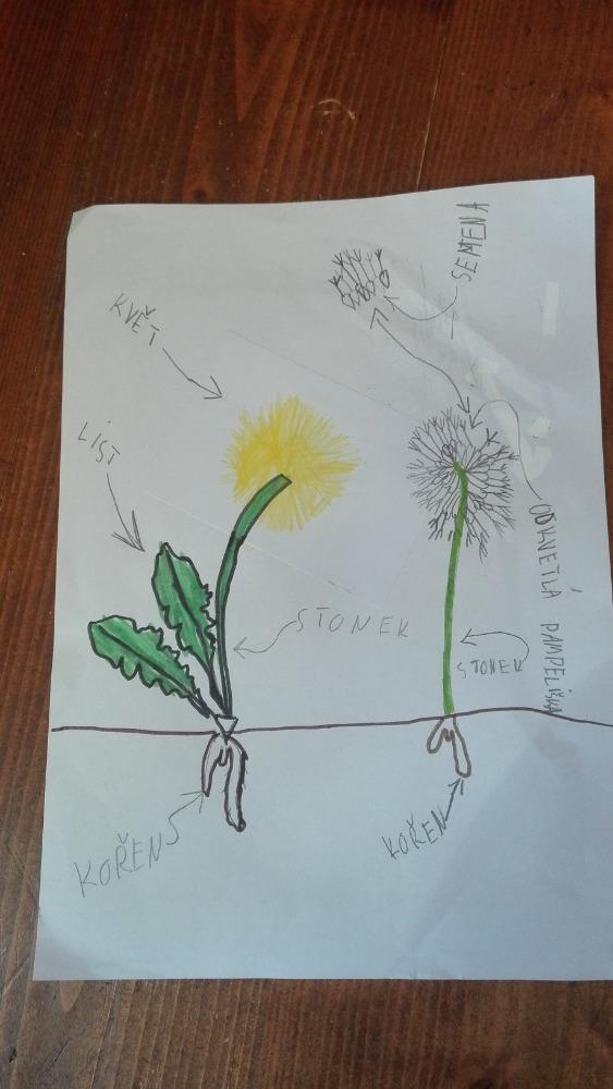 Druháčci - čarodějnický rej - 10