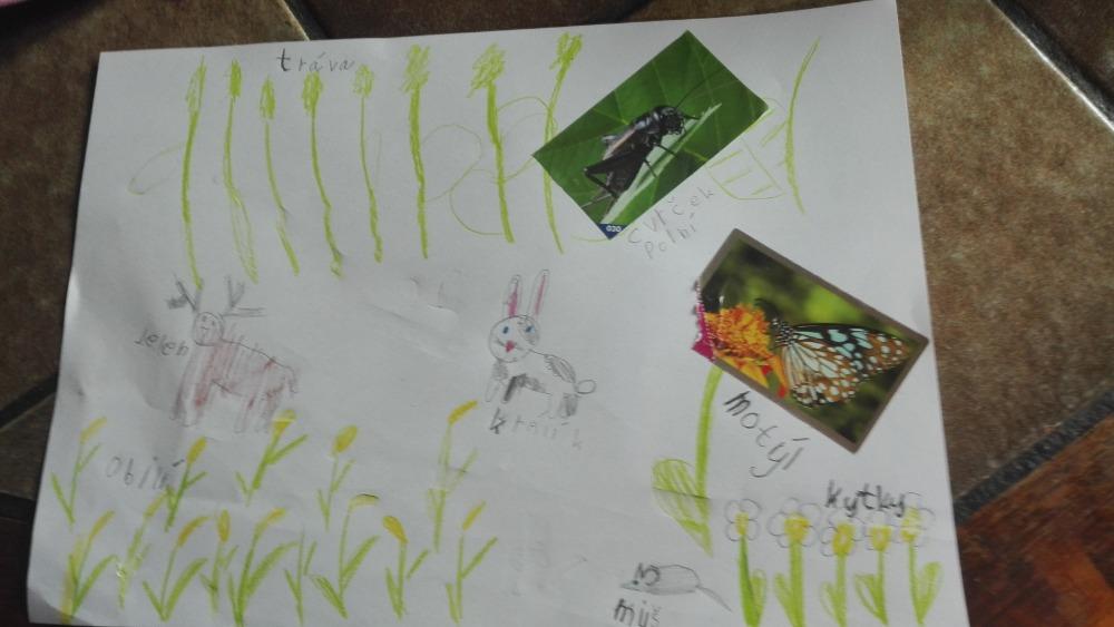 Výstupy druháčků z domácího i školního učení 12. 6. - 8