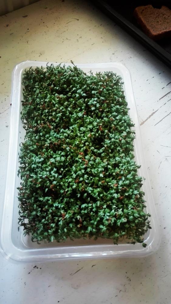 Výstupy druháčků z domácího učení 22. 4. - 14