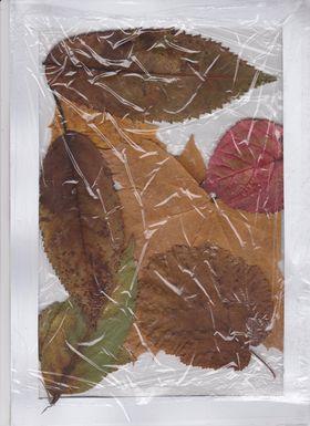 Činnost Badatelského kroužku - 3