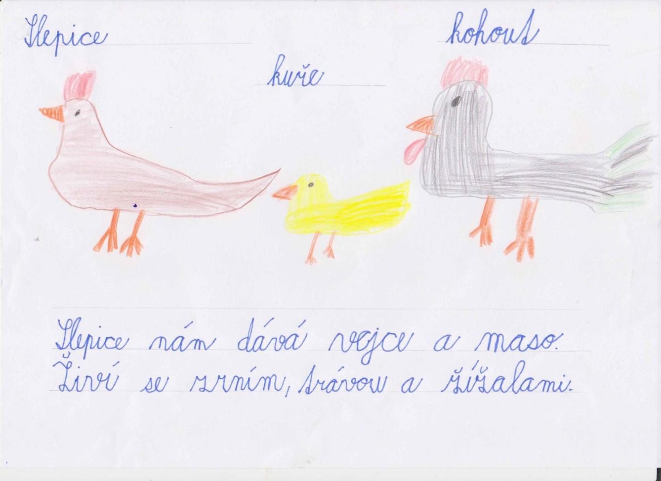 Výstupy druháčků z domácího učení 16. 4. - 7