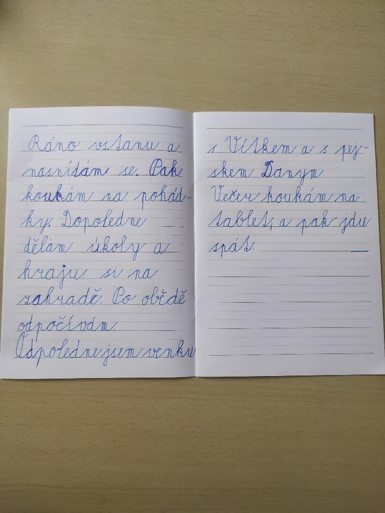 Domškoláctví u prvňáků - 11