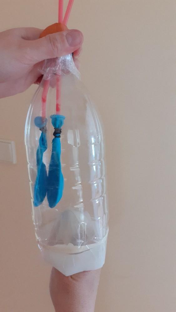 Laboratorní práce z Biologie člověka - 8. třída - 8