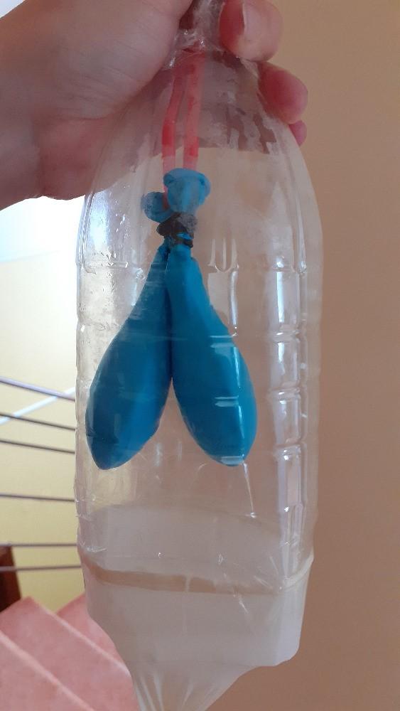 Laboratorní práce z Biologie člověka - 8. třída - 9