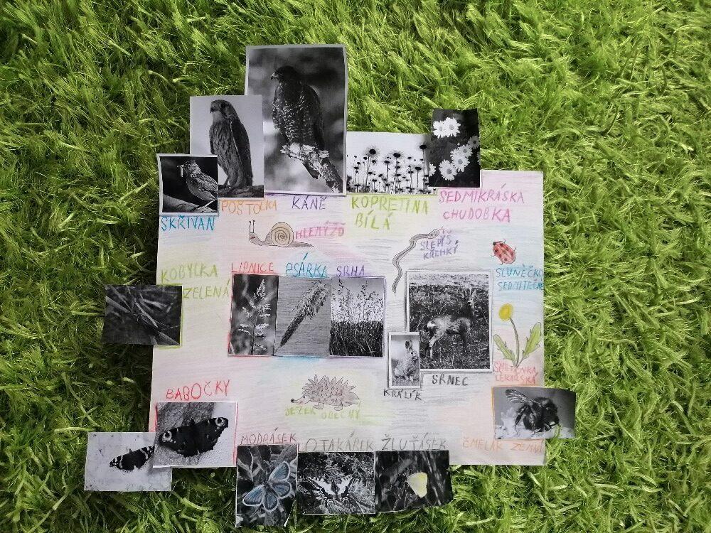 Výstupy druháčků z domácího i školního učení 10. 6. - 1