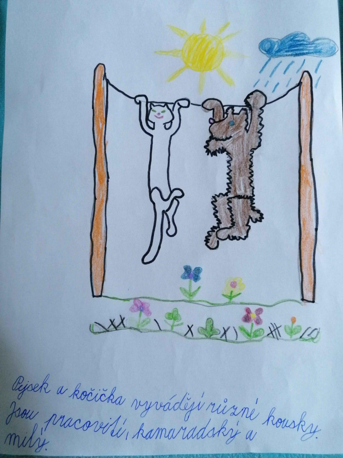 Výstupy druháčků z domácího učení 1. 4. - 13