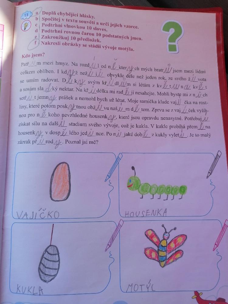 Výstupy druháčků z domácího učení 21. 5. - 18