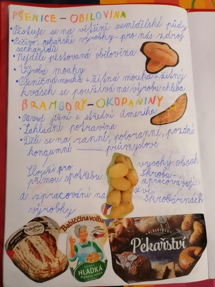 Distanční výuka ve třetí třídě 23. 10. - 37