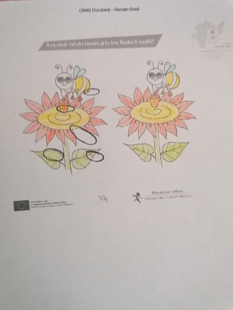 Distanční výuka ve třetí třídě 12. 2. - 21