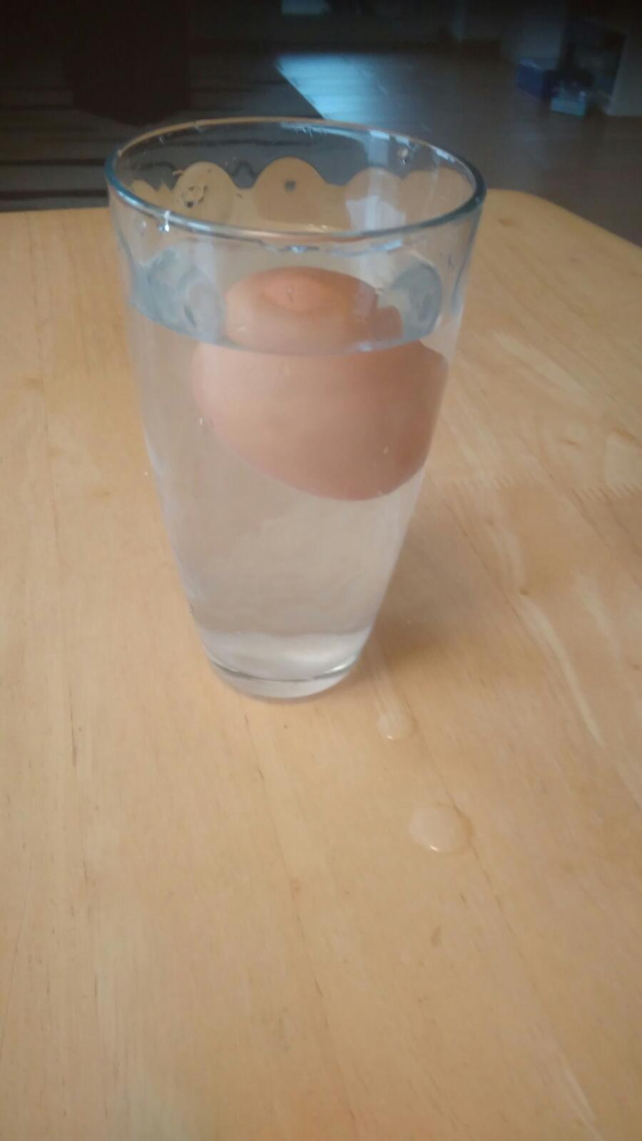 Projektový den svatý Martin a týden pokusů v 5.A - 10