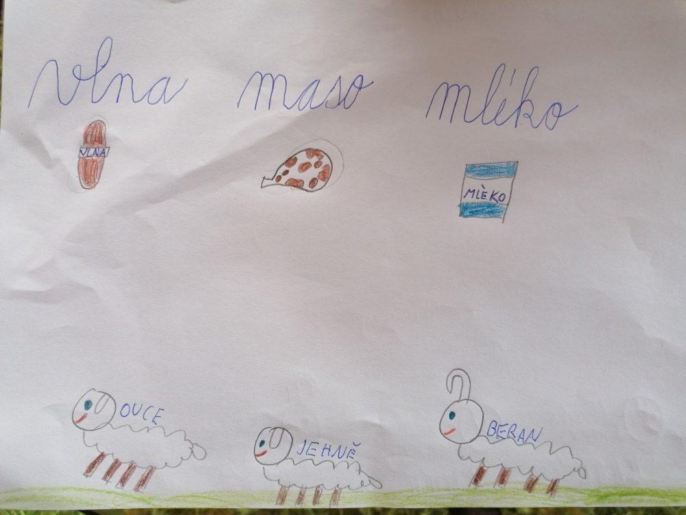 Výstupy druháčků z domácího učení 14. 4. - 19