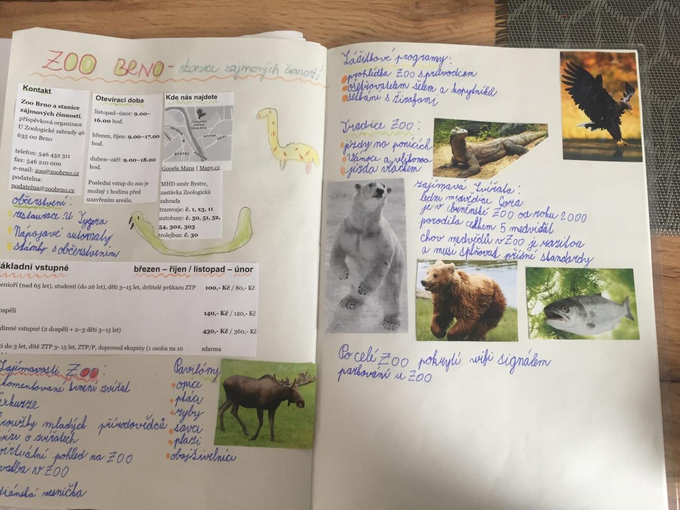 Distanční výuka v 5.B - 15