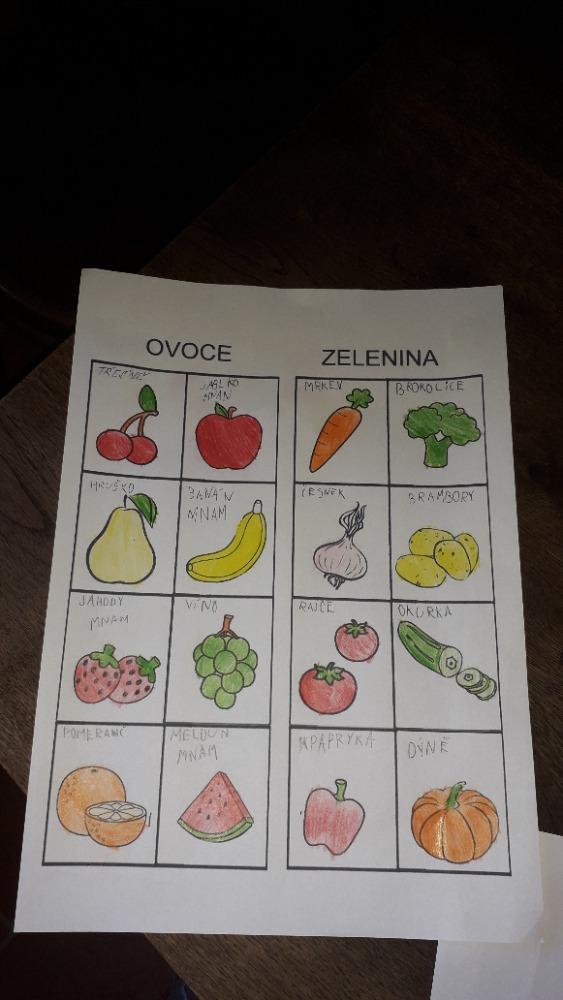 Výstupy druháčků z domácího učení 24. 5. - 29