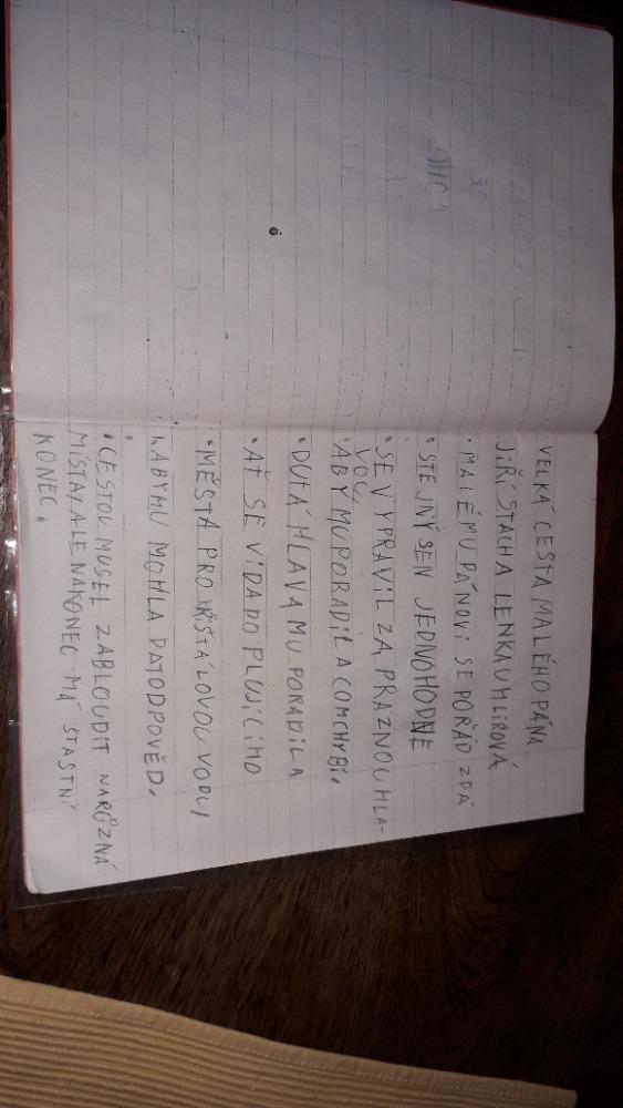 Výstupy druháčků z domácího i školního učení 30. 5. - 16