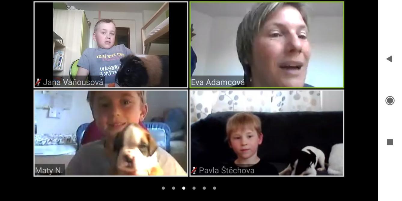 Výstupy druháčků z domácího učení 22. 4. - 16