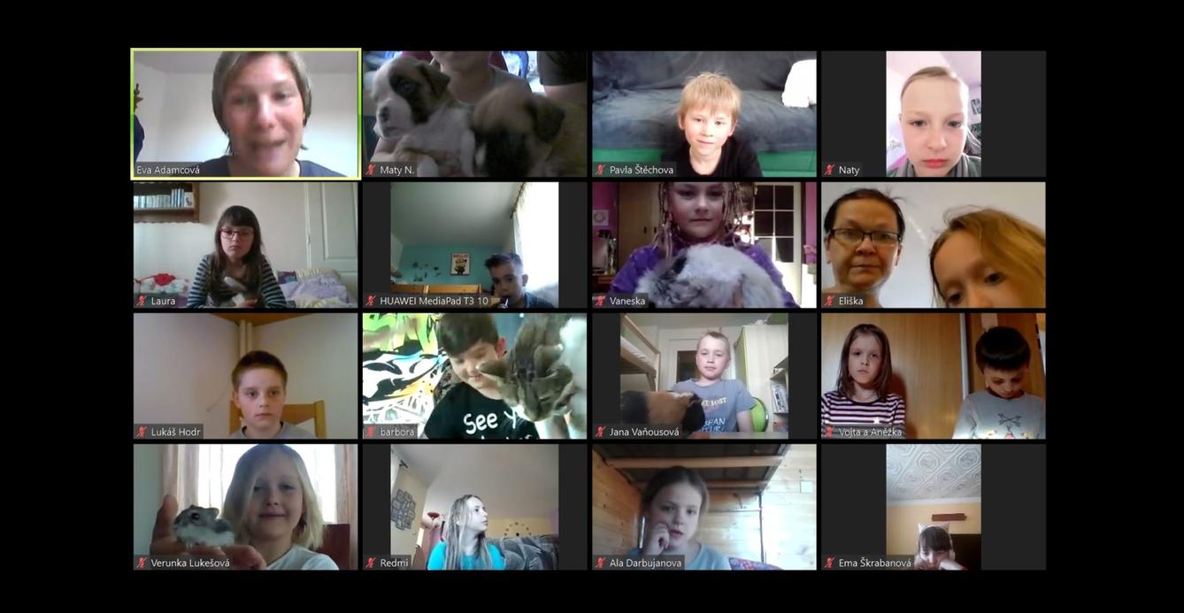 Výstupy druháčků z domácího učení 22. 4. - 17