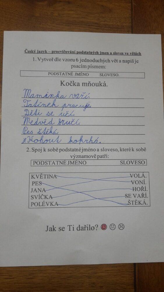 Výstupy druháčků z domácího učení 24. 5. - 30