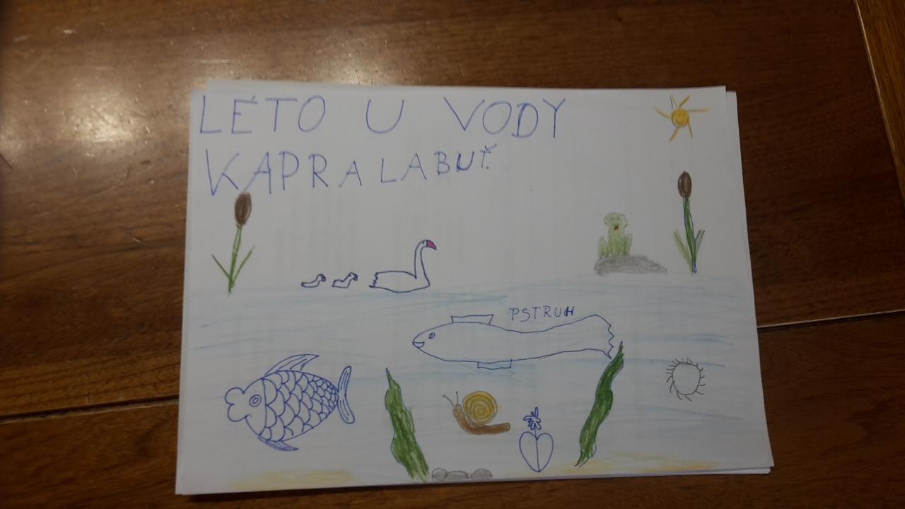 Výstupy druháčků z domácího i školního učení 23. 6. - 29