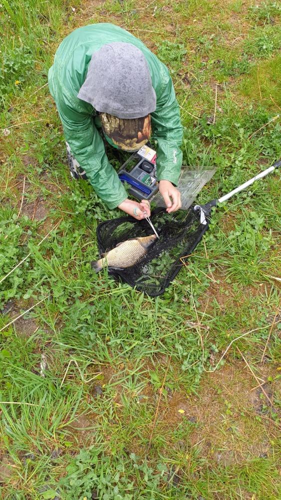 4.B škola doma - 10