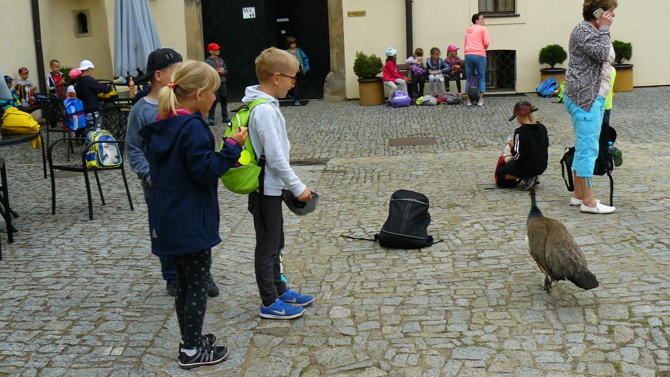 Školní výlet Pardubice - 10