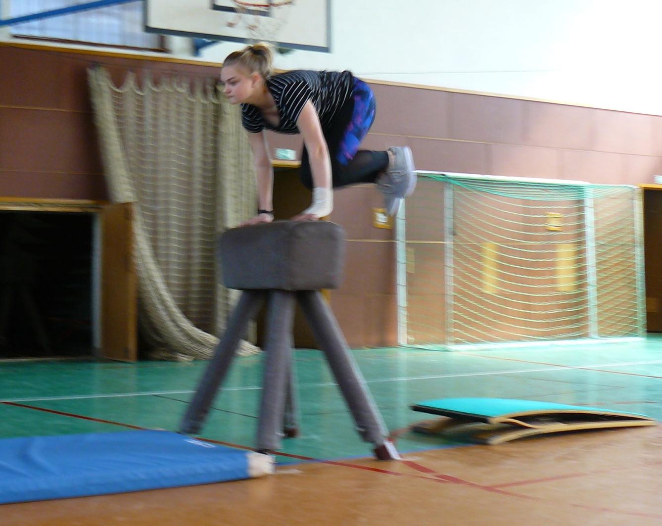 XVII. ročník školního kola SPORTOVNÍ GYMNASTIKY - 11