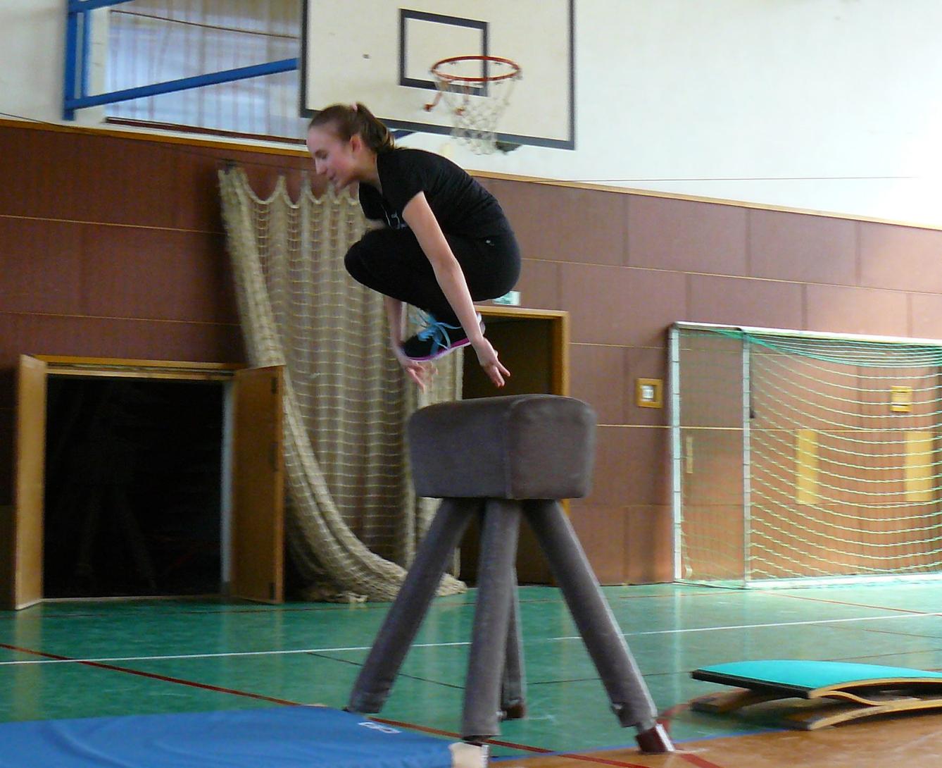 XVII. ročník školního kola SPORTOVNÍ GYMNASTIKY - 12