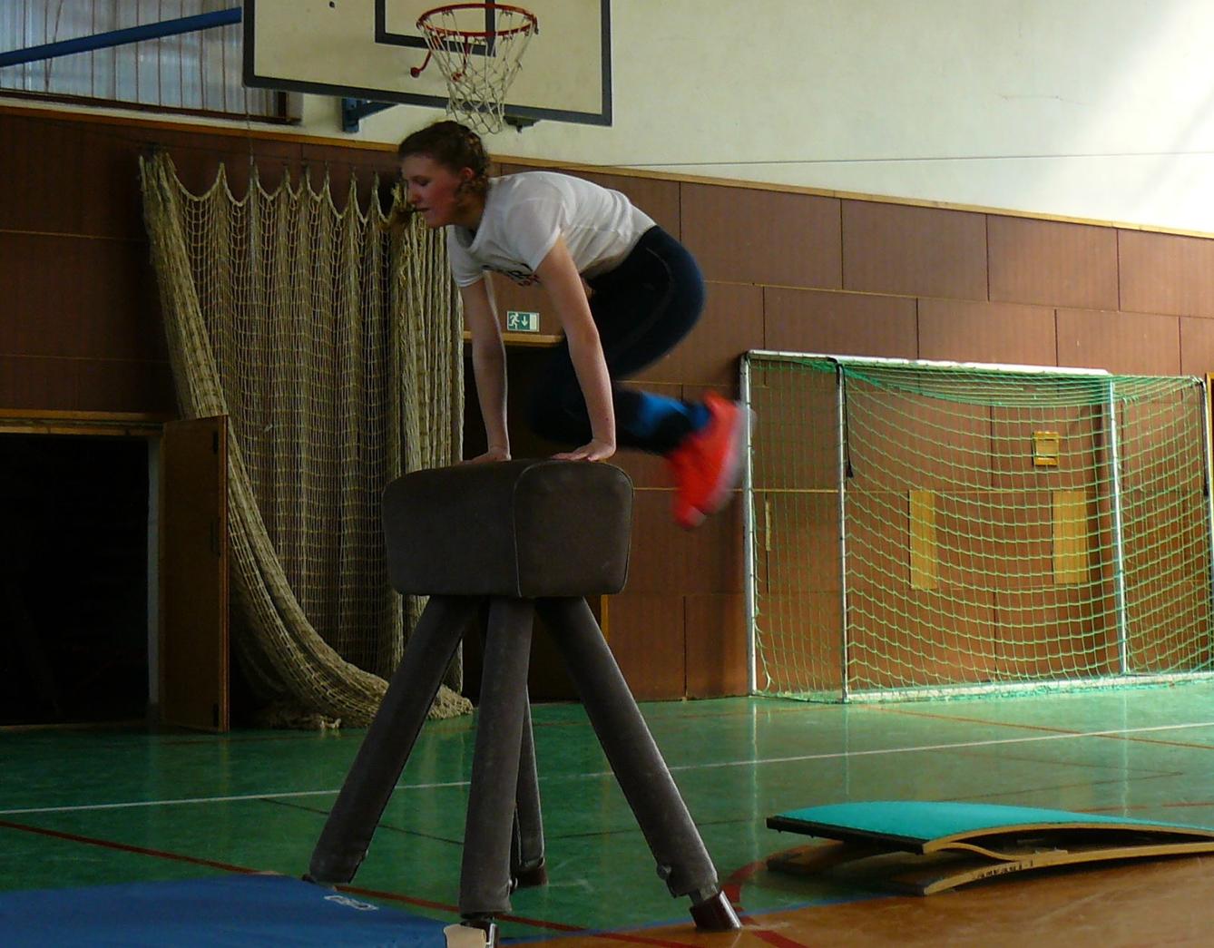 XVII. ročník školního kola SPORTOVNÍ GYMNASTIKY - 13