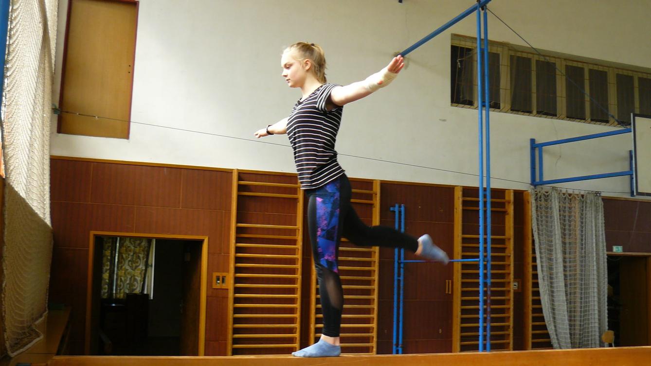 XVII. ročník školního kola SPORTOVNÍ GYMNASTIKY - 22