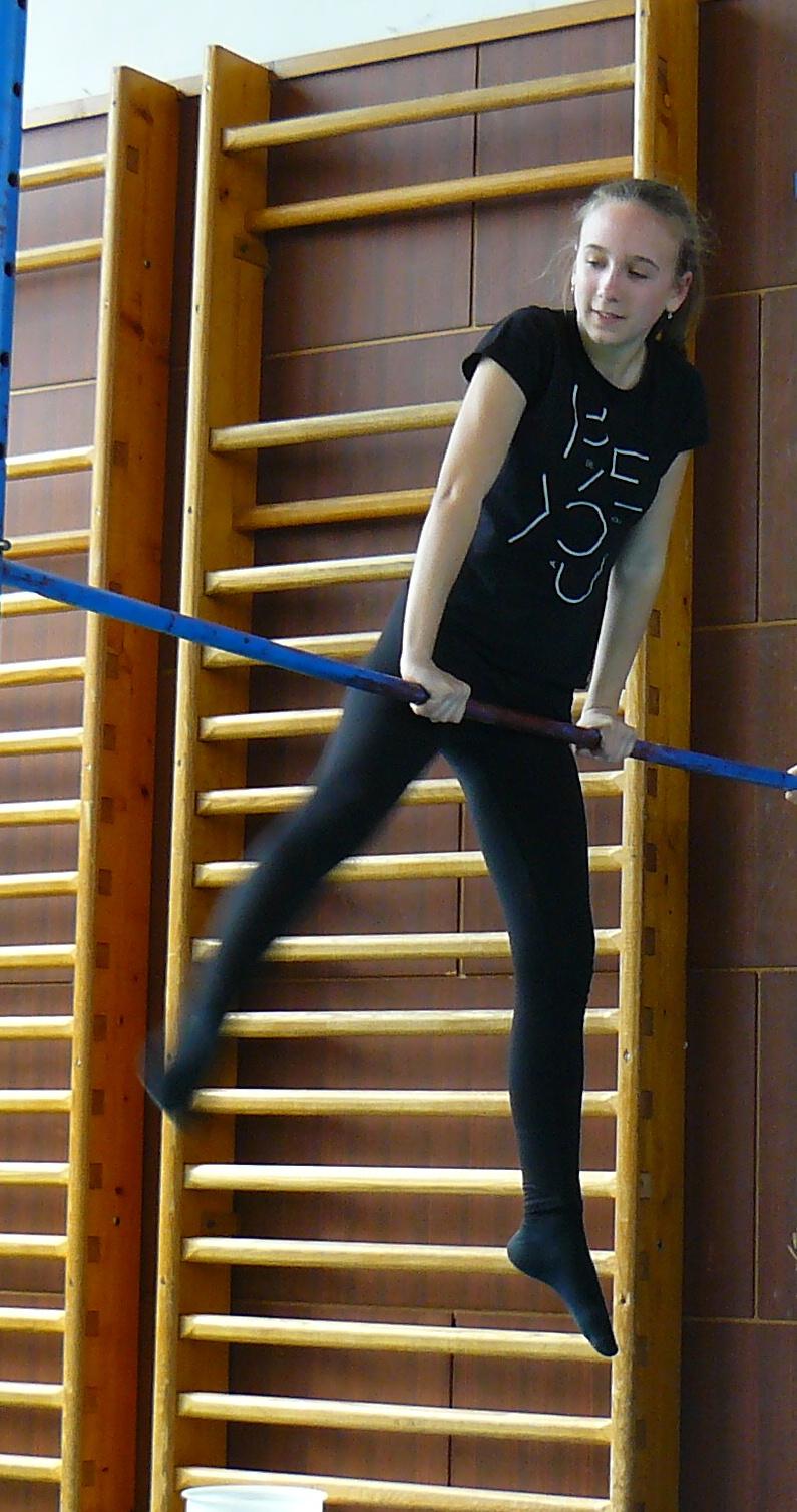 XVII. ročník školního kola SPORTOVNÍ GYMNASTIKY - 26