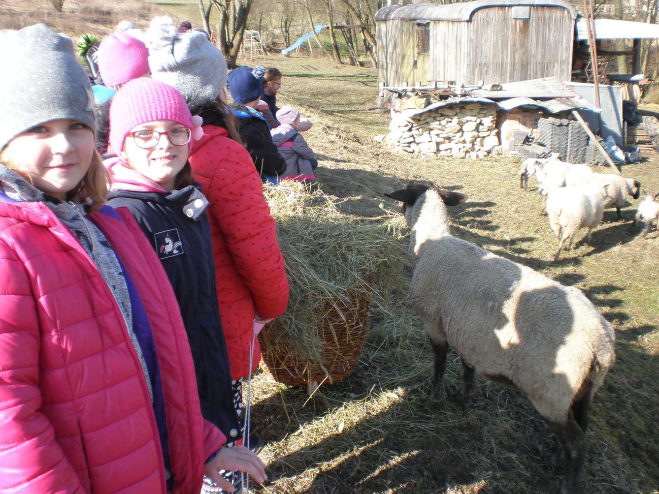 Výprava druháčků za jehňaty - 3