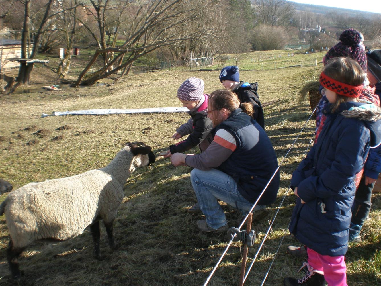 Výprava druháčků za jehňaty - 4