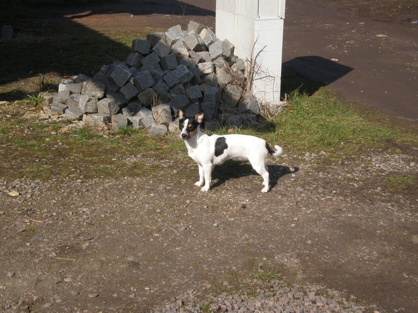 Výprava druháčků za jehňaty - 13