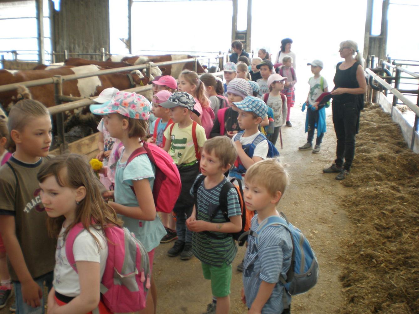 Den Země na 1. stupni ZŠ - 17