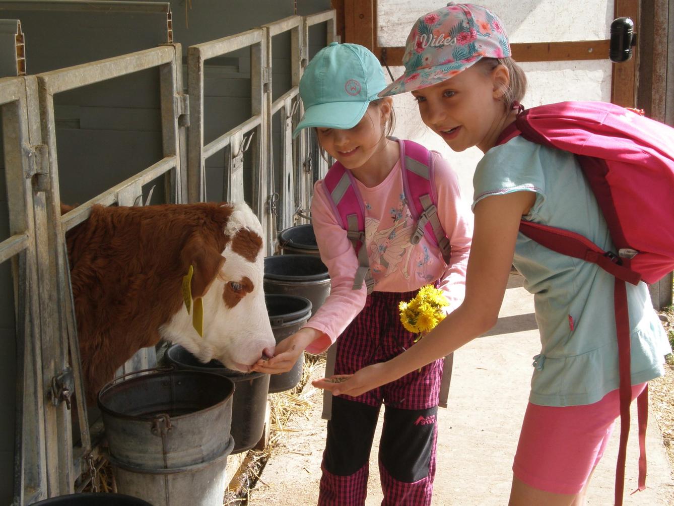 Den Země na 1. stupni ZŠ - 19