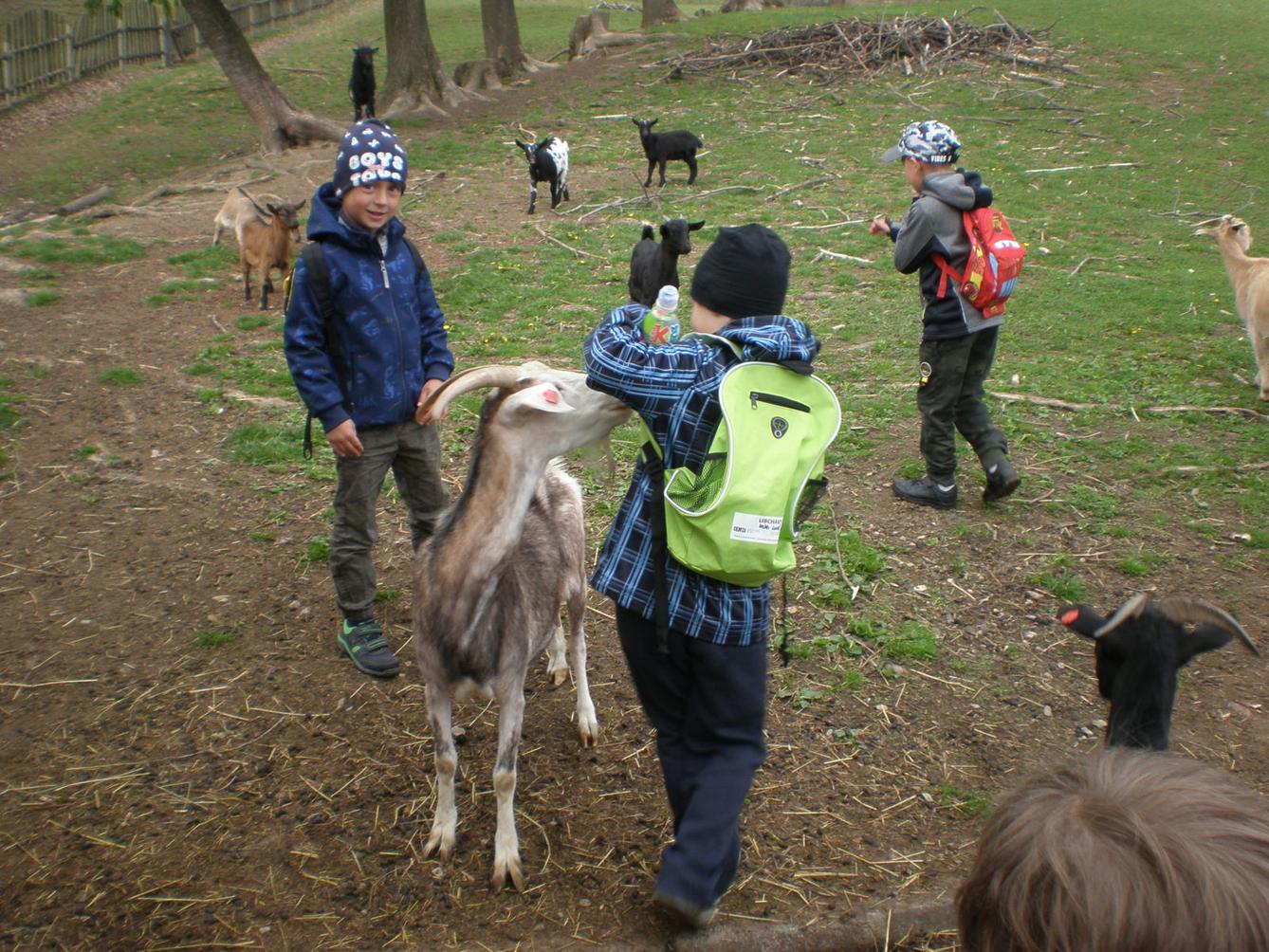 Výprava prvňáčků za zvířaty - 2