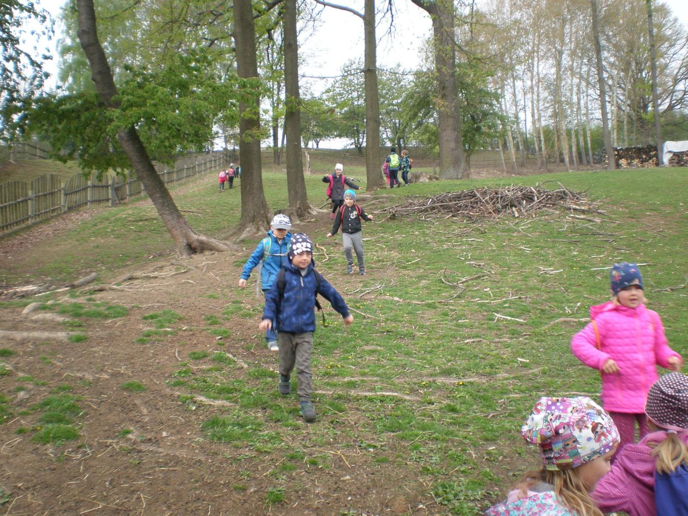 Výprava prvňáčků za zvířaty - 5