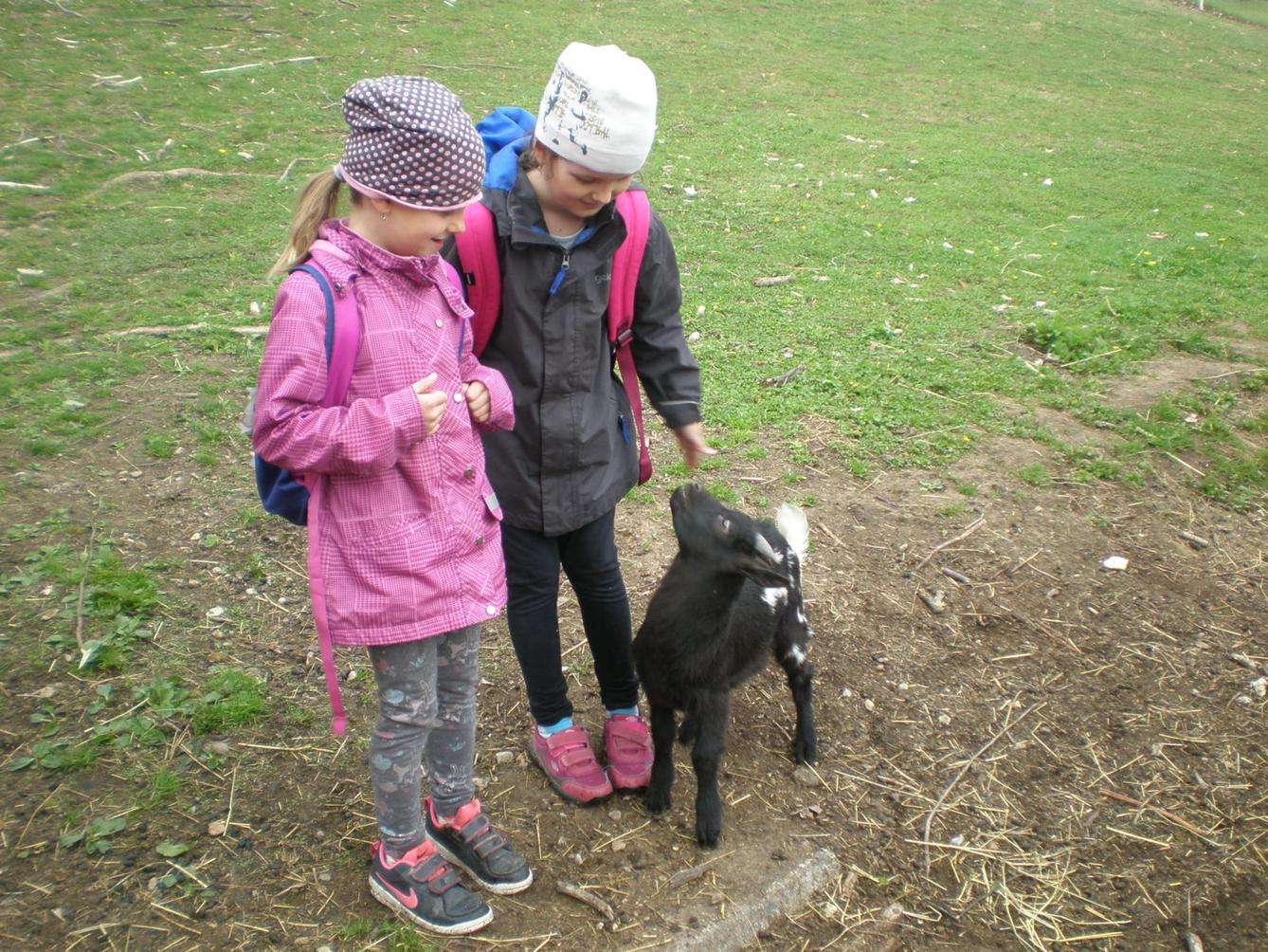 Výprava prvňáčků za zvířaty - 6